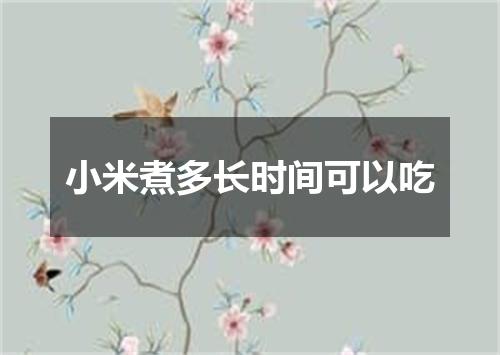 小米煮多长时间可以吃