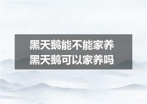 黑天鹅能不能家养 黑天鹅可以家养吗