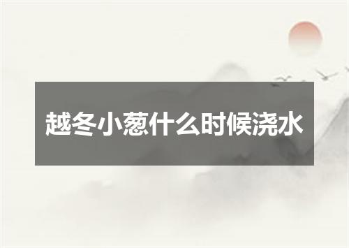 越冬小葱什么时候浇水