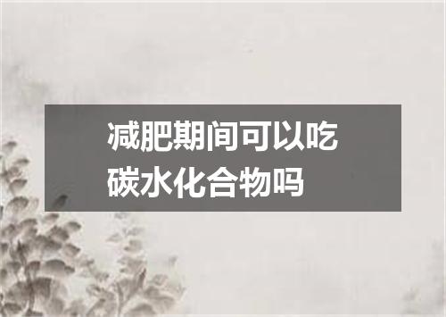 减肥期间可以吃碳水化合物吗