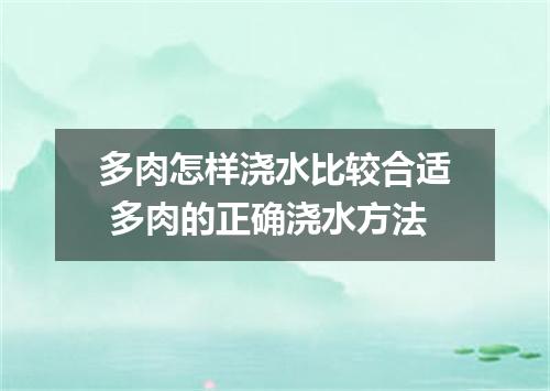 多肉怎样浇水比较合适 多肉的正确浇水方法