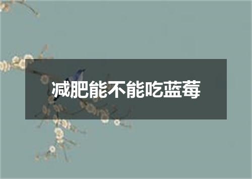 减肥能不能吃蓝莓