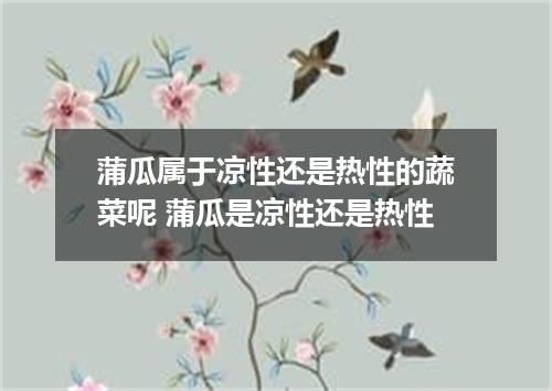 蒲瓜属于凉性还是热性的蔬菜呢 蒲瓜是凉性还是热性