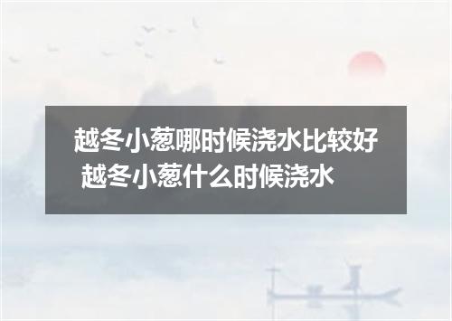 越冬小葱哪时候浇水比较好 越冬小葱什么时候浇水