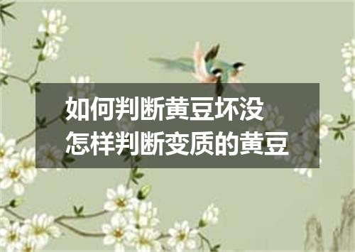 如何判断黄豆坏没 怎样判断变质的黄豆