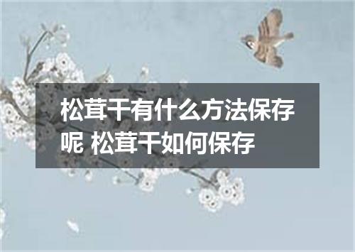 松茸干有什么方法保存呢 松茸干如何保存