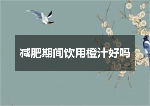 减肥期间饮用橙汁好吗