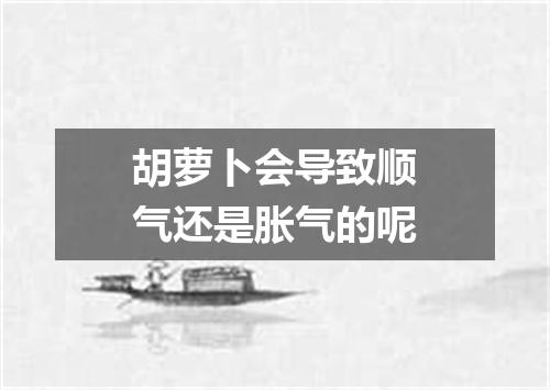 胡萝卜会导致顺气还是胀气的呢