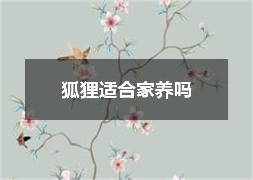 狐狸适合家养吗