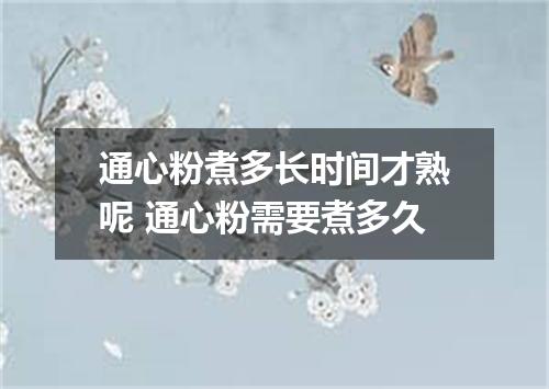 通心粉煮多长时间才熟呢 通心粉需要煮多久