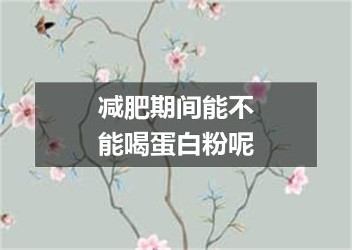 减肥期间能不能喝蛋白粉呢