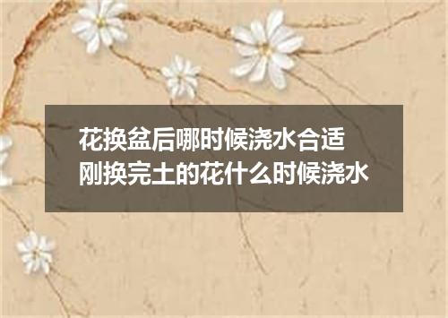 花换盆后哪时候浇水合适 刚换完土的花什么时候浇水