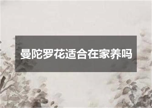 曼陀罗花适合在家养吗