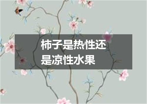 柿子是热性还是凉性水果