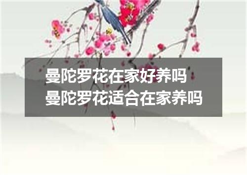 曼陀罗花在家好养吗 曼陀罗花适合在家养吗