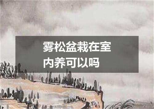 雾松盆栽在室内养可以吗