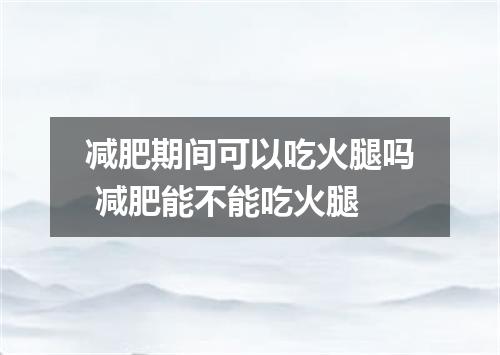减肥期间可以吃火腿吗 减肥能不能吃火腿