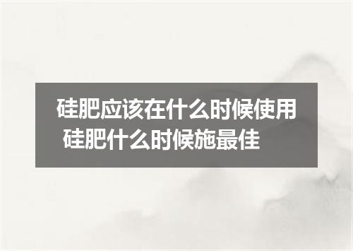 硅肥应该在什么时候使用 硅肥什么时候施最佳