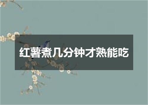 红薯煮几分钟才熟能吃