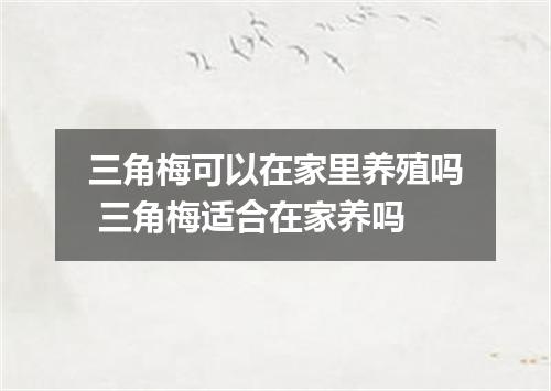三角梅可以在家里养殖吗 三角梅适合在家养吗