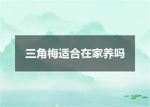 三角梅适合在家养吗