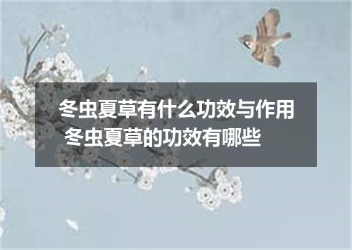 冬虫夏草有什么功效与作用 冬虫夏草的功效有哪些