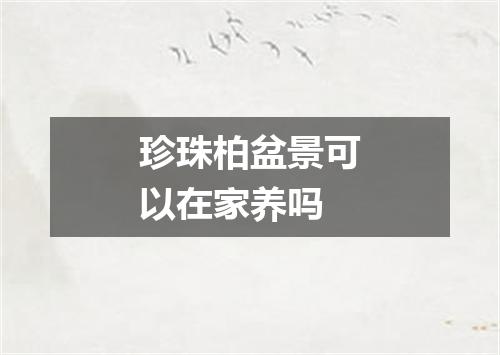 珍珠柏盆景可以在家养吗