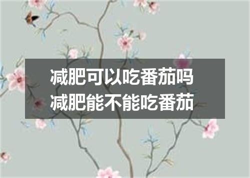 减肥可以吃番茄吗 减肥能不能吃番茄