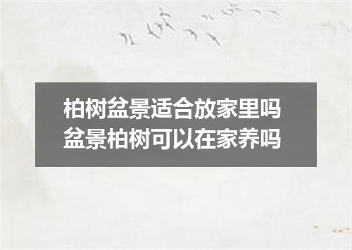 柏树盆景适合放家里吗 盆景柏树可以在家养吗