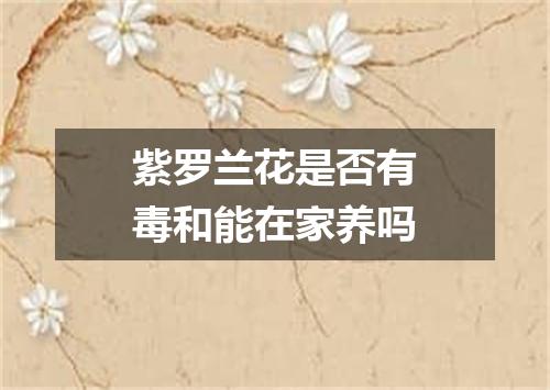 紫罗兰花是否有毒和能在家养吗