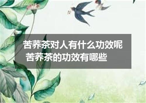苦荞茶对人有什么功效呢 苦荞茶的功效有哪些