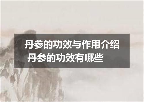 丹参的功效与作用介绍 丹参的功效有哪些