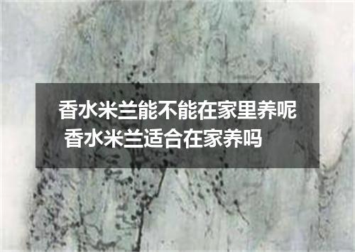 香水米兰能不能在家里养呢 香水米兰适合在家养吗