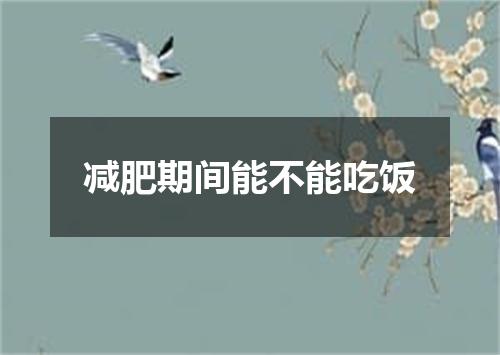 减肥期间能不能吃饭