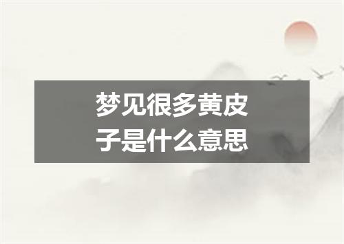 梦见很多黄皮子是什么意思