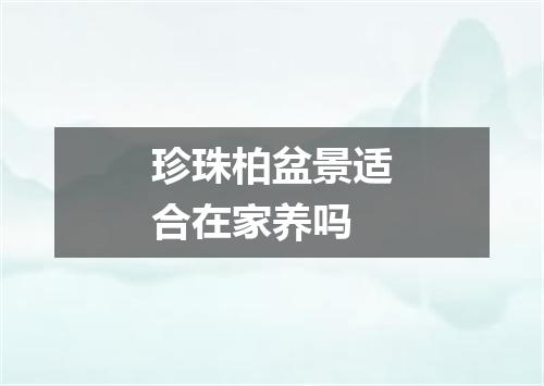 珍珠柏盆景适合在家养吗
