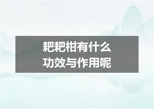 耙耙柑有什么功效与作用呢