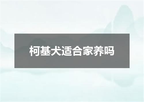 柯基犬适合家养吗