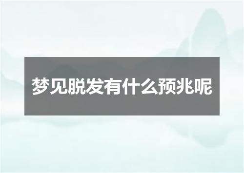 梦见脱发有什么预兆呢