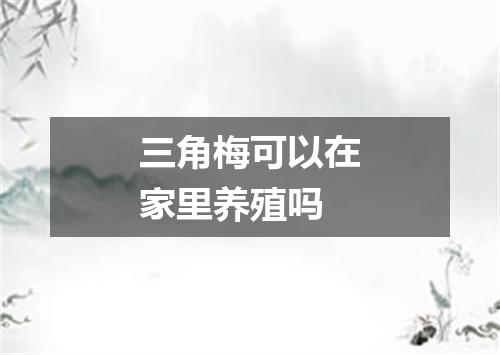 三角梅可以在家里养殖吗