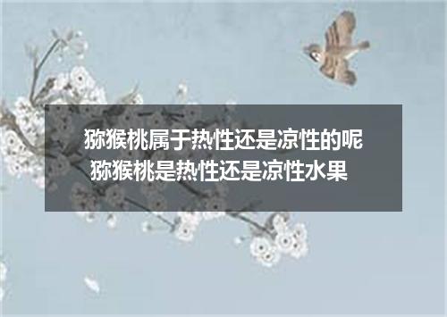 猕猴桃属于热性还是凉性的呢 猕猴桃是热性还是凉性水果