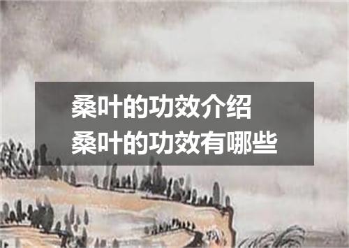 桑叶的功效介绍 桑叶的功效有哪些
