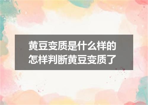 黄豆变质是什么样的 怎样判断黄豆变质了