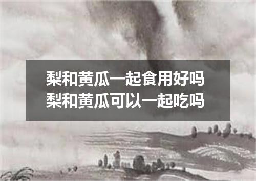 梨和黄瓜一起食用好吗 梨和黄瓜可以一起吃吗