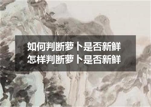 如何判断萝卜是否新鲜 怎样判断萝卜是否新鲜