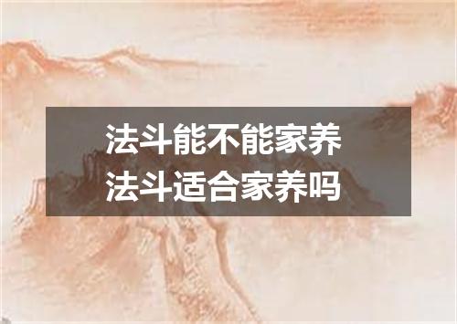 法斗能不能家养 法斗适合家养吗