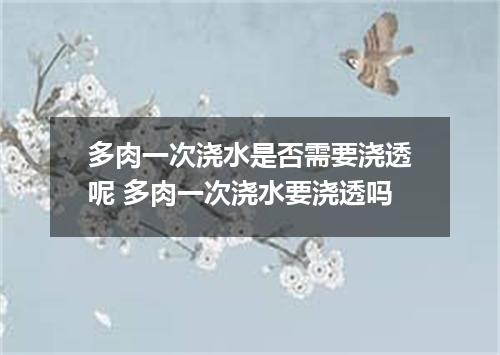 多肉一次浇水是否需要浇透呢 多肉一次浇水要浇透吗