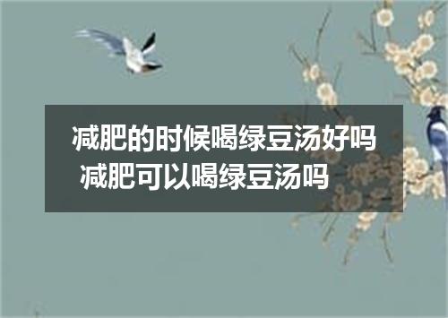 减肥的时候喝绿豆汤好吗 减肥可以喝绿豆汤吗