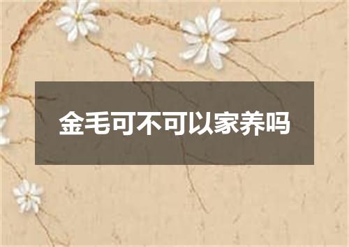 金毛可不可以家养吗