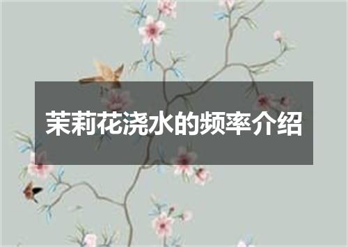 茉莉花浇水的频率介绍